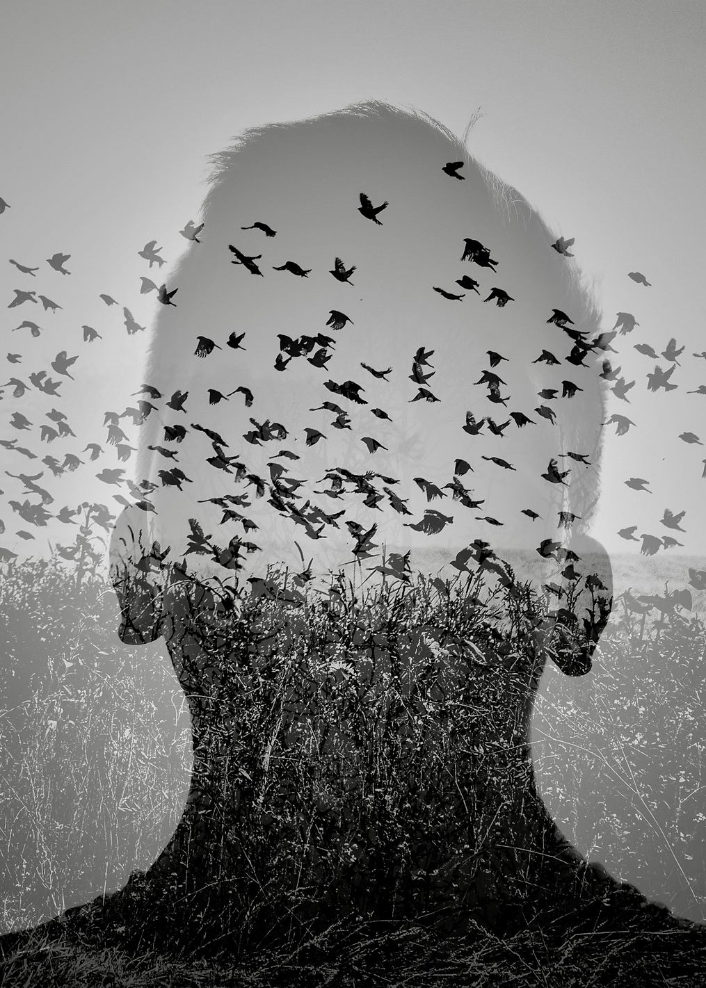 Flying Mind: постер из коллекции World Class Photos