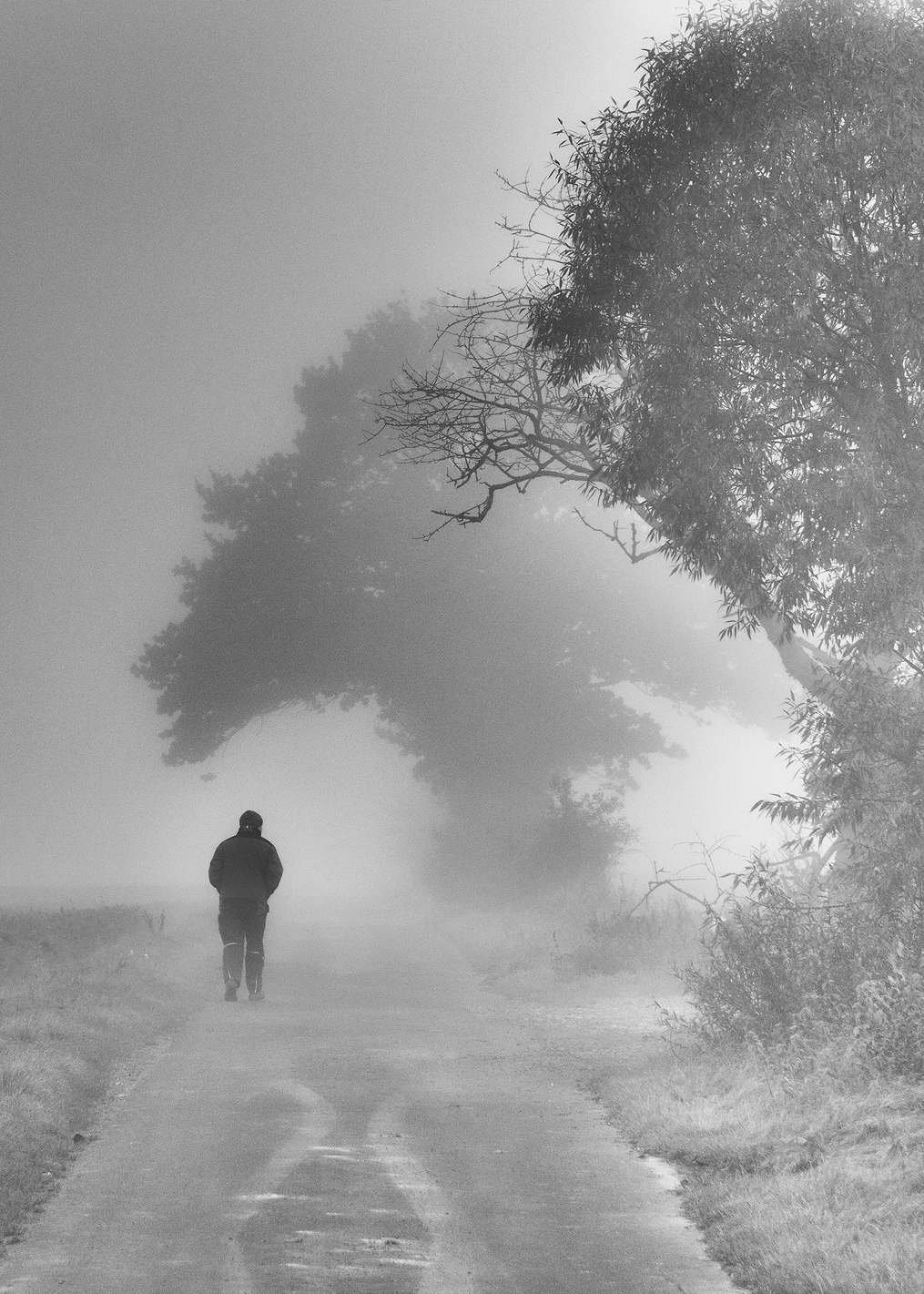 Foggy Walk: постер из коллекции World Class Photos