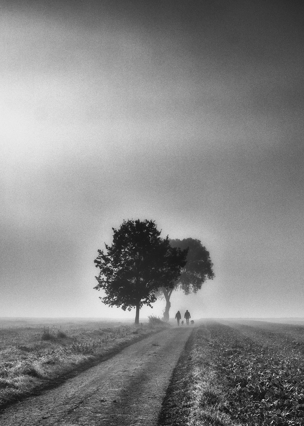 Gloomy morning walk: постер из коллекции World Class Photos