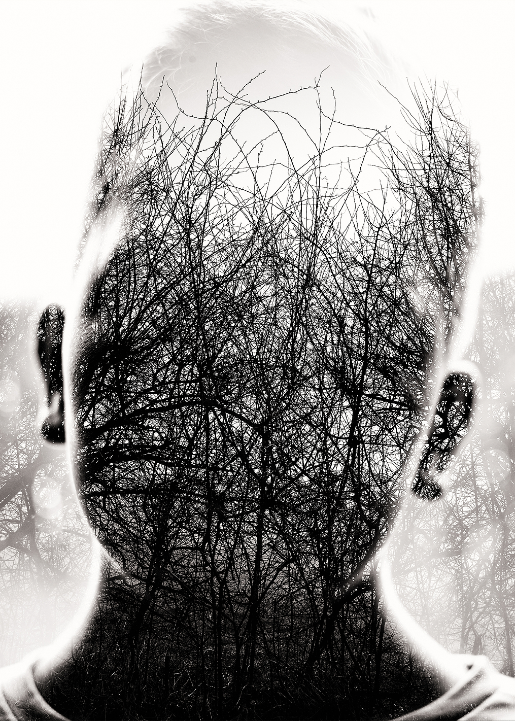 Beautiful mind: постер из коллекции World Class Photos