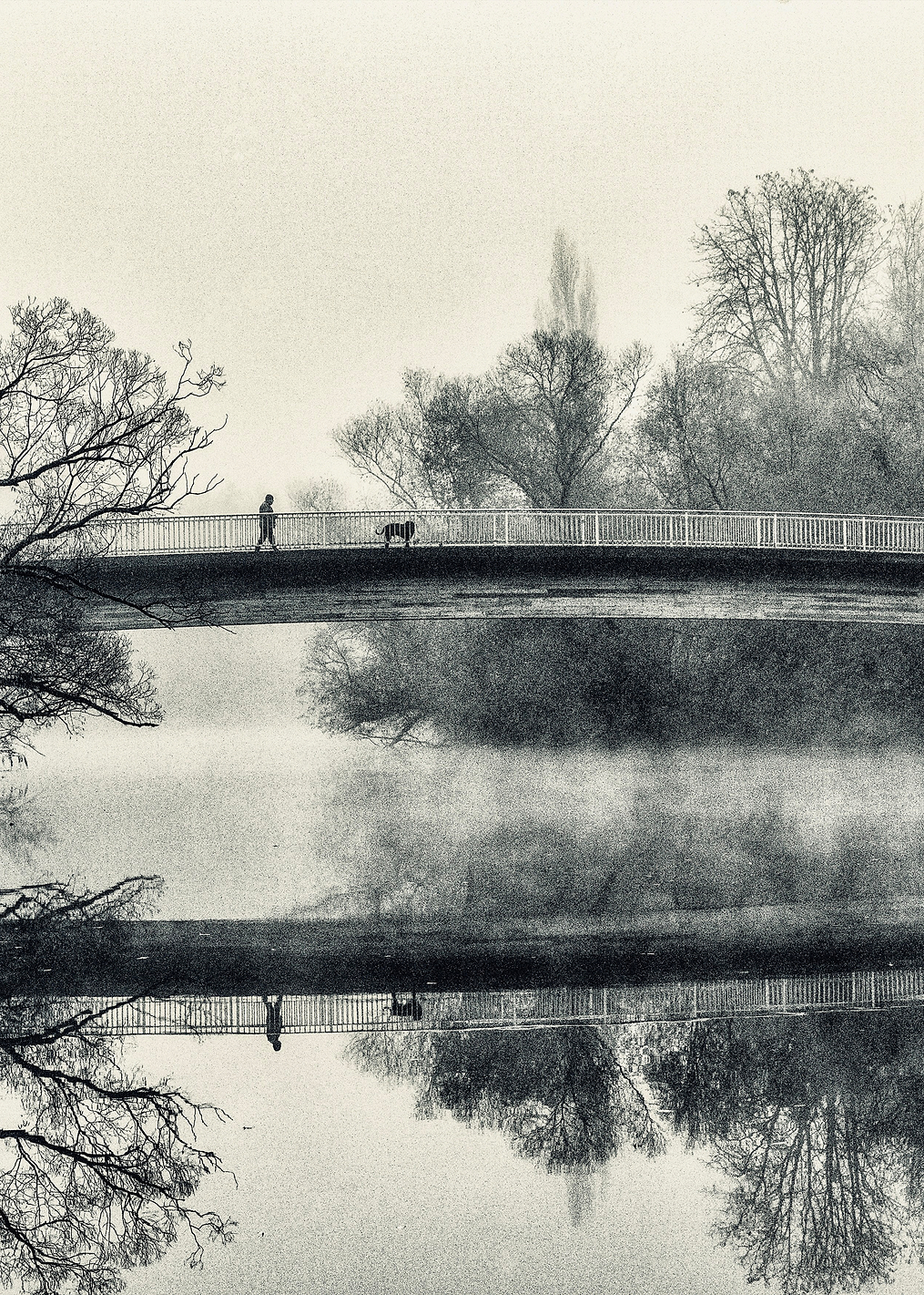 Walk with dog in fog: постер из коллекции World Class Photos