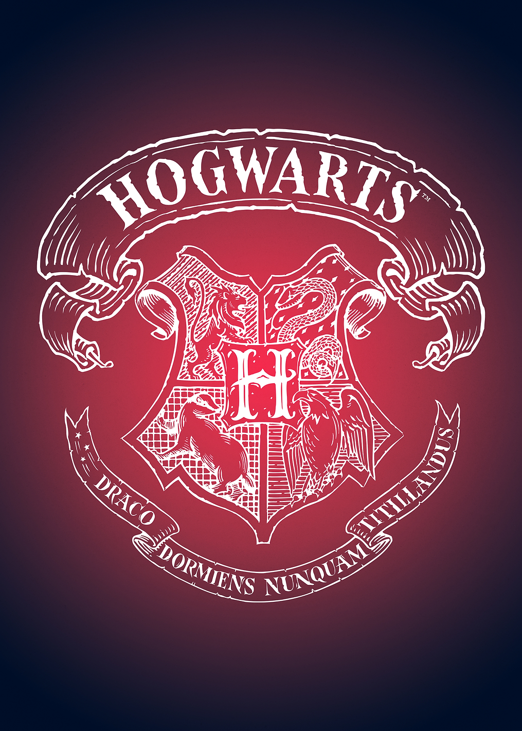 Witchcraft and Wizardry: постер из коллекции Wizarding World