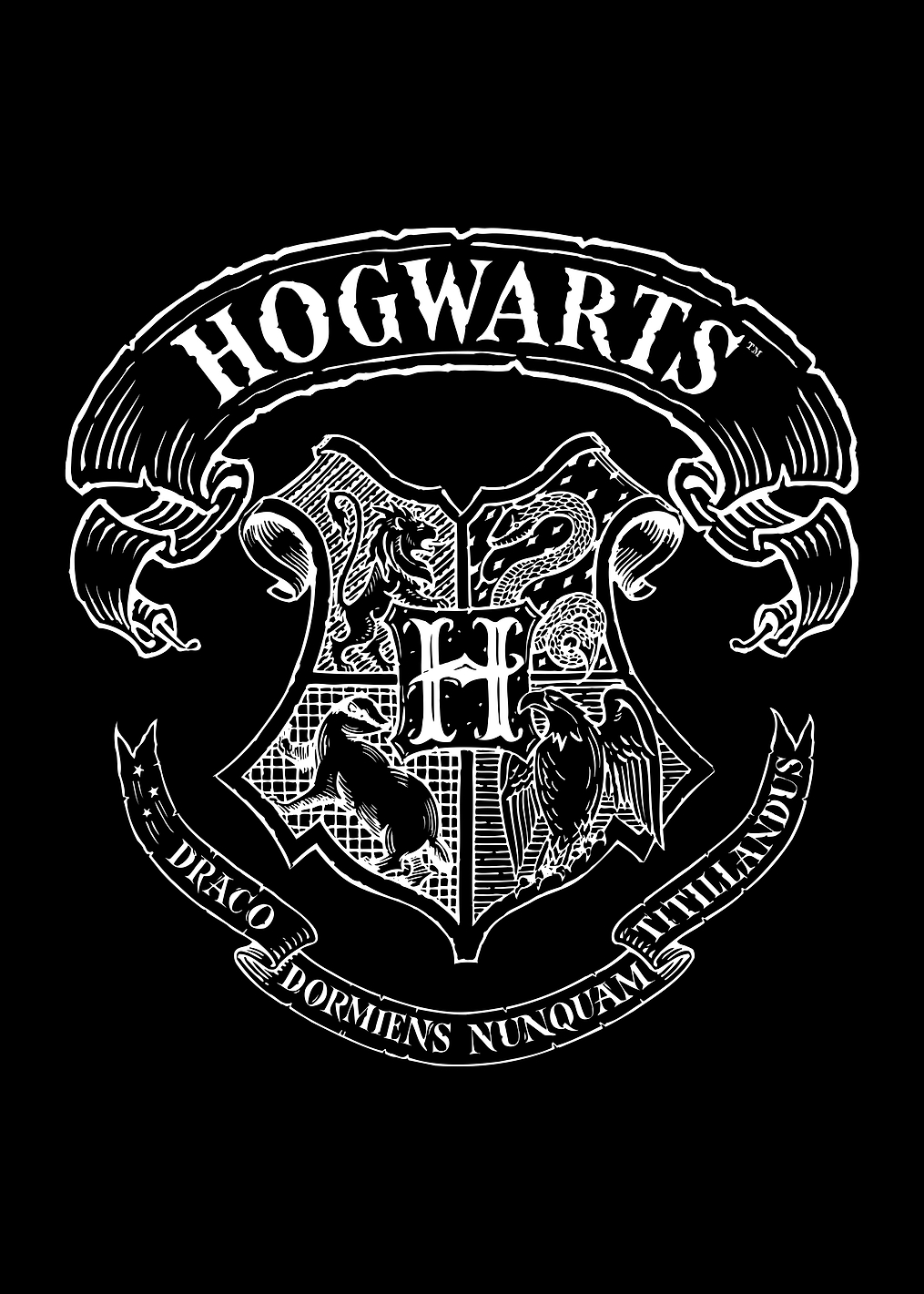 Wizarding School: постер из коллекции Wizarding World