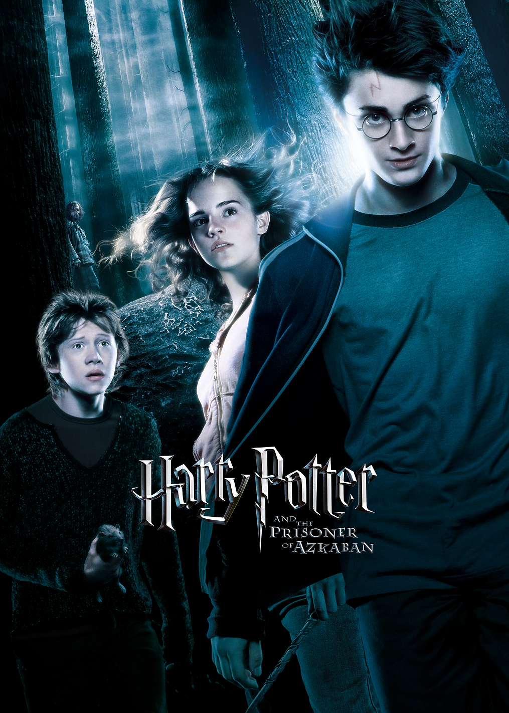Third Year at Hogwarts: постер из коллекции Wizarding World