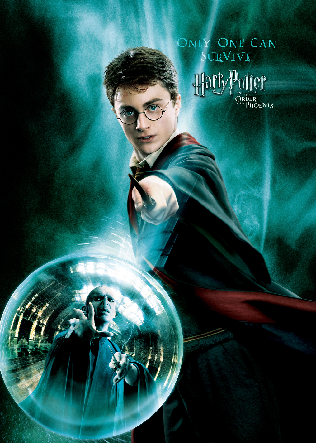 Harry and Voldemort: постер из коллекции Wizarding World