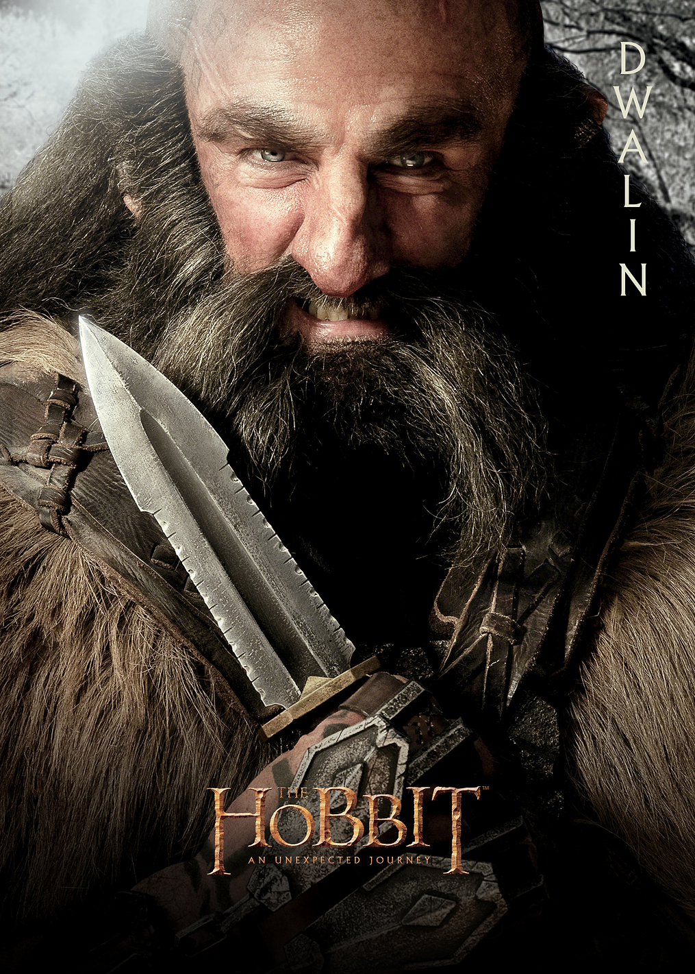 H1 Dwalin Portrait: постер из коллекции Middle-earth