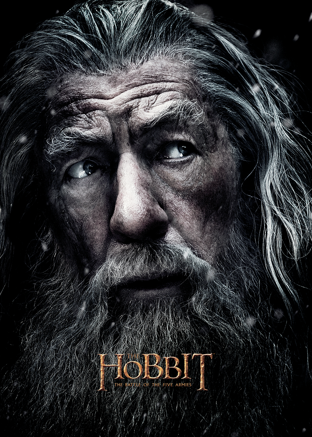 H3 Gandalf Portrait: постер из коллекции Middle-earth