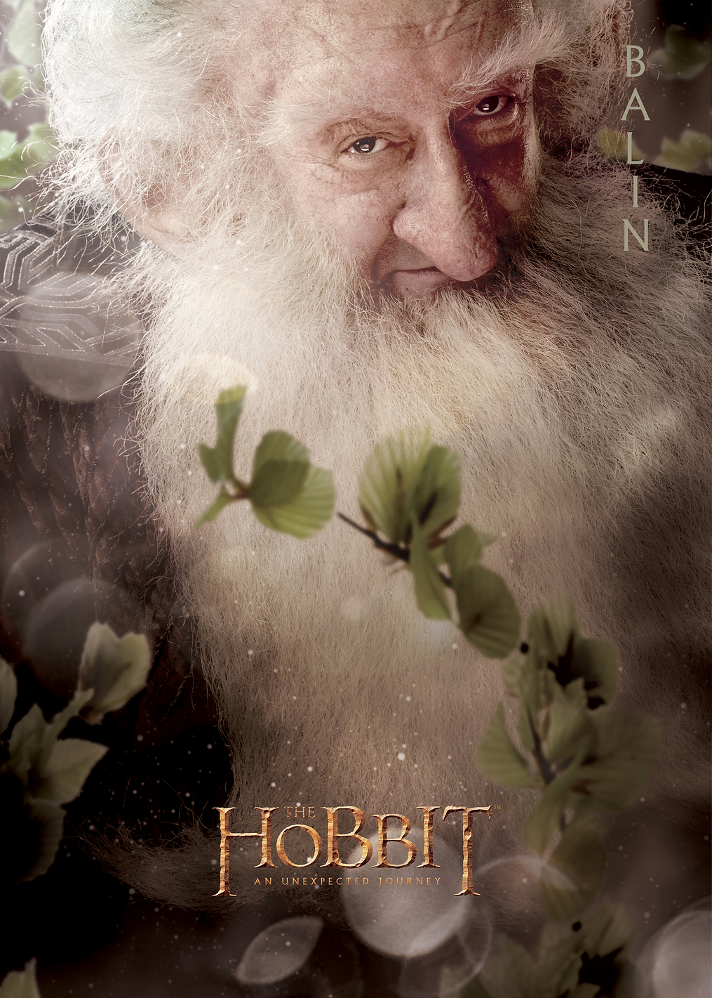 H1 Balin Portrait: постер из коллекции Middle-earth