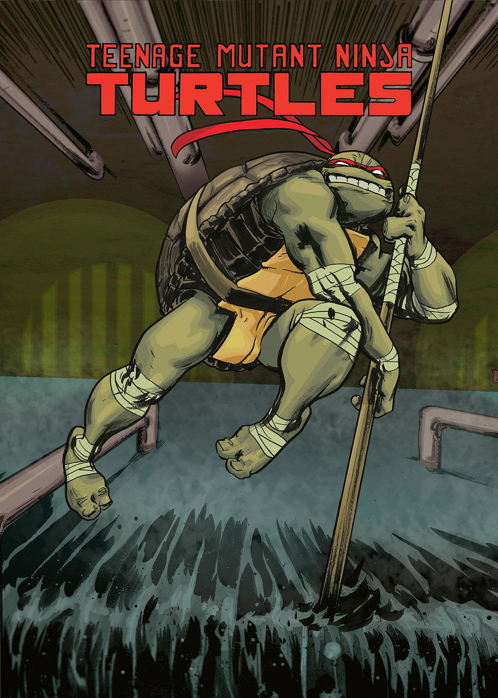 Donatello Sewer Cover: постер из коллекции TMNT