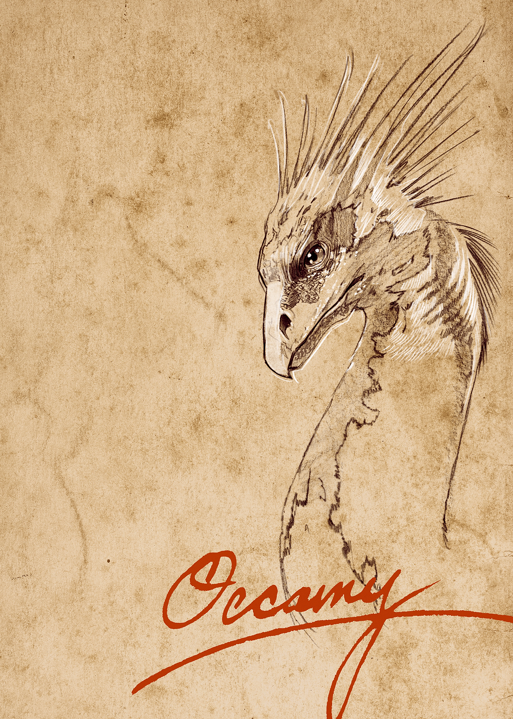 Occamy Sketch: постер из коллекции Wizarding World