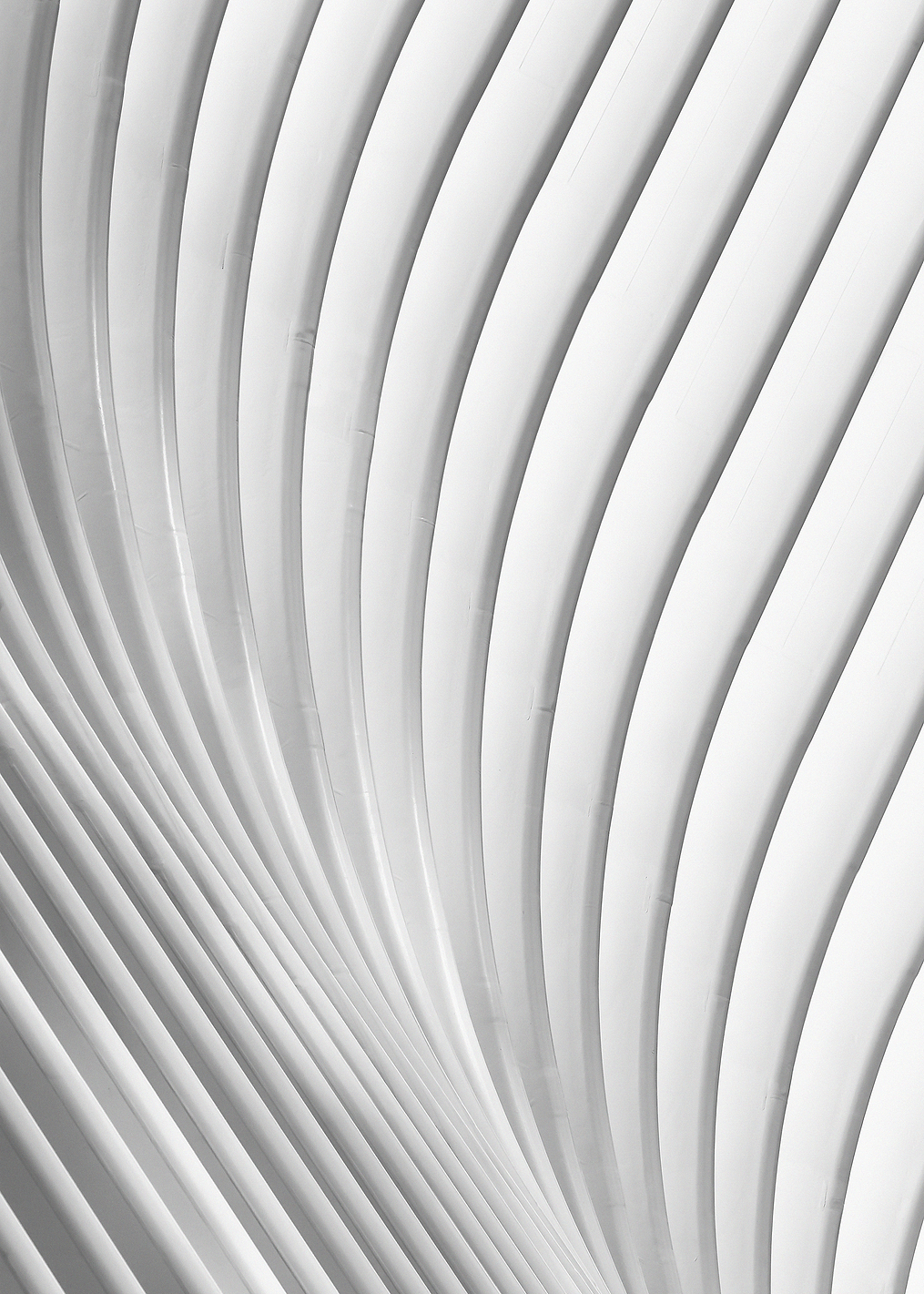 Calatrava Lines: постер из коллекции World Class Photos