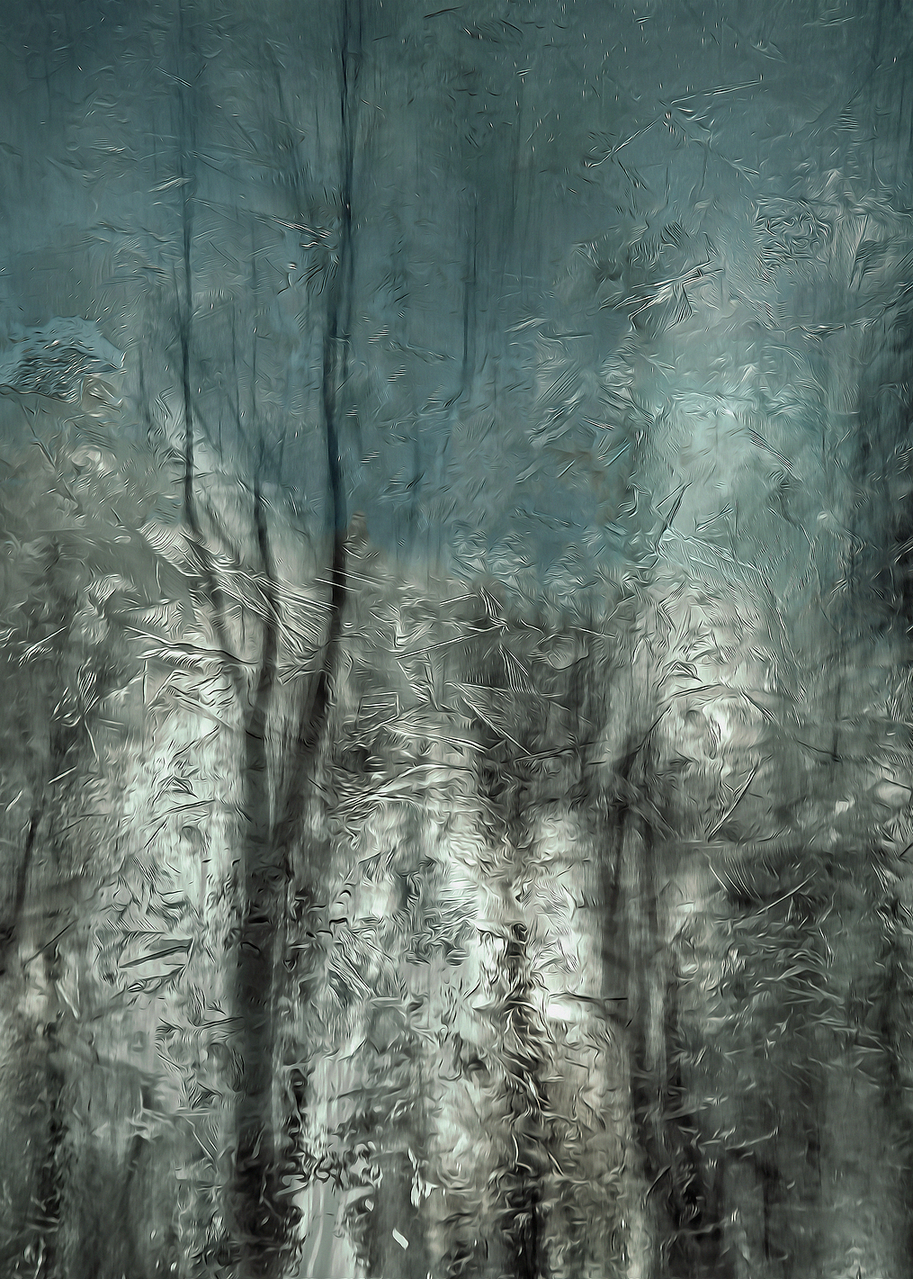 Frozen frost wood: постер из коллекции World Class Photos