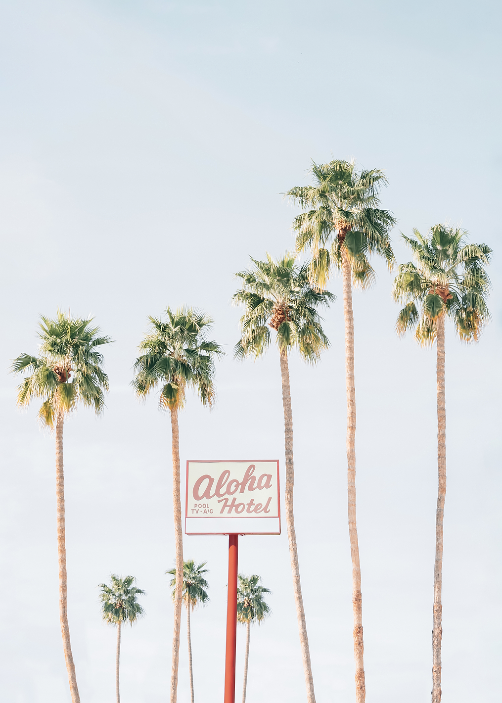 Aloha Hotel: постер из коллекции World Class Photos
