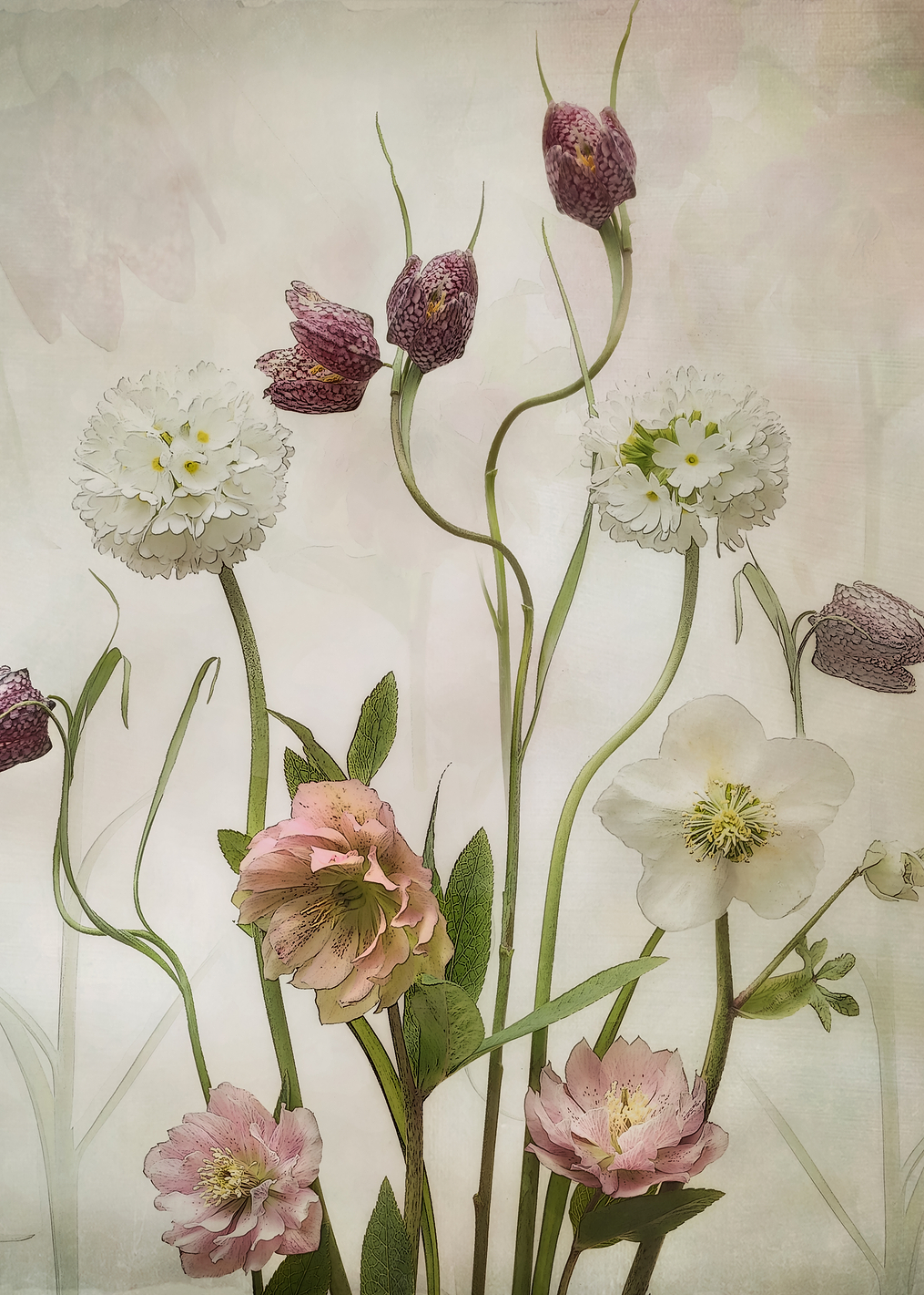 Spring Garden: постер из коллекции World Class Photos
