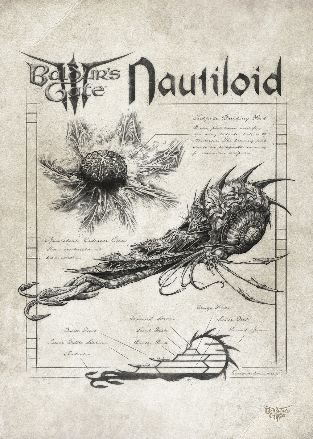 Nautiloid: постер из коллекции Dungeons And Dragons