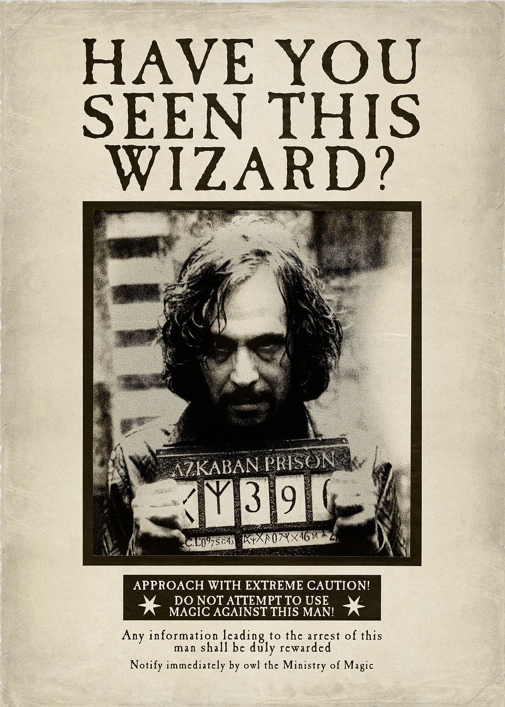 Have you seen this wizard?: постер из коллекции Wizarding World