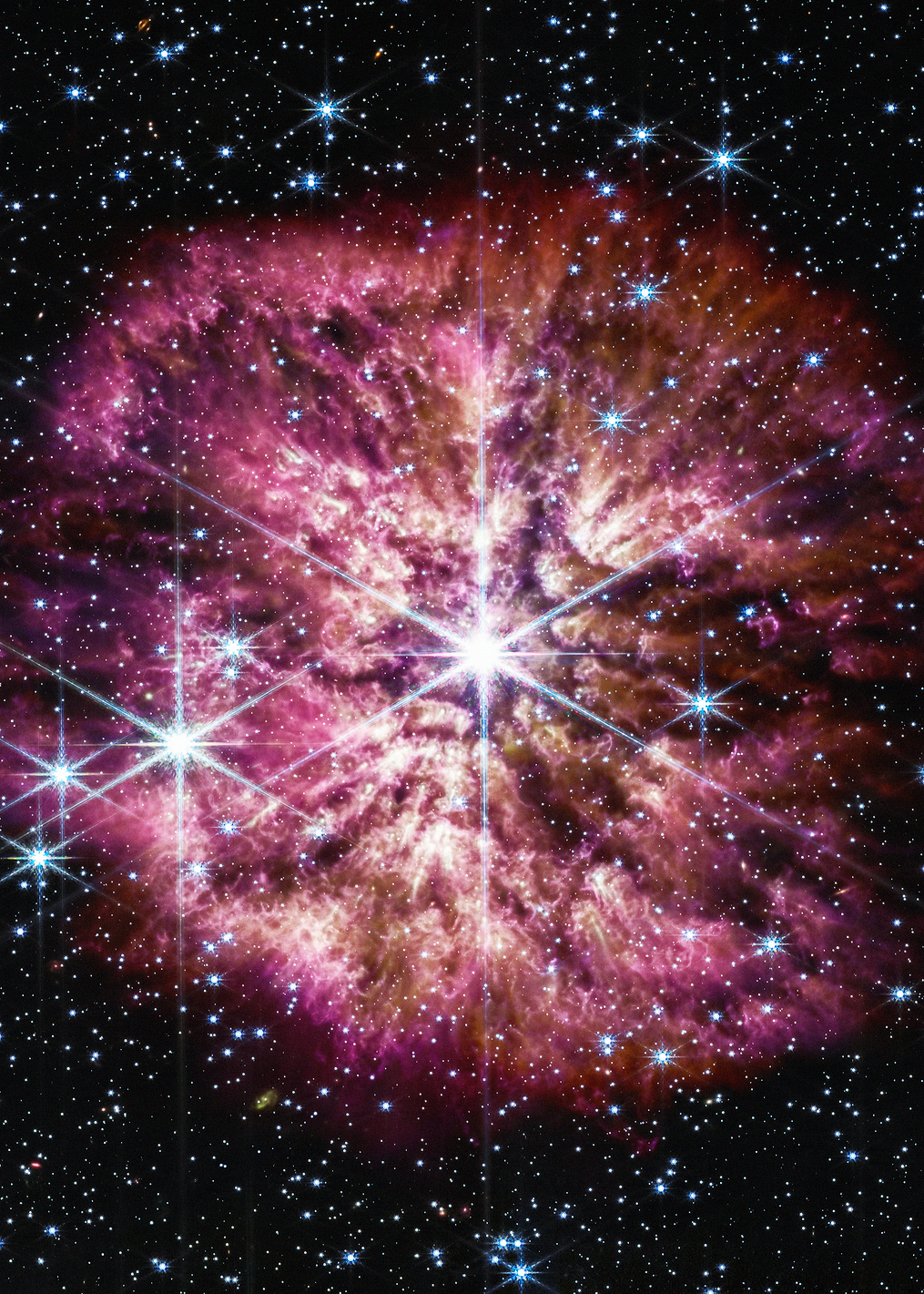 Blooming Wolf-Rayet Star / PLATINA