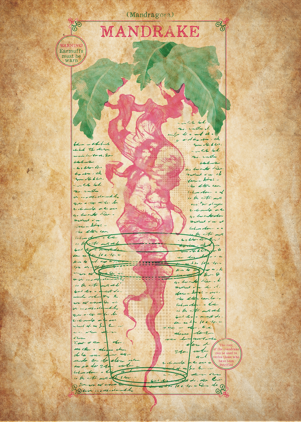 Mandrake Chart: постер из коллекции Wizarding World