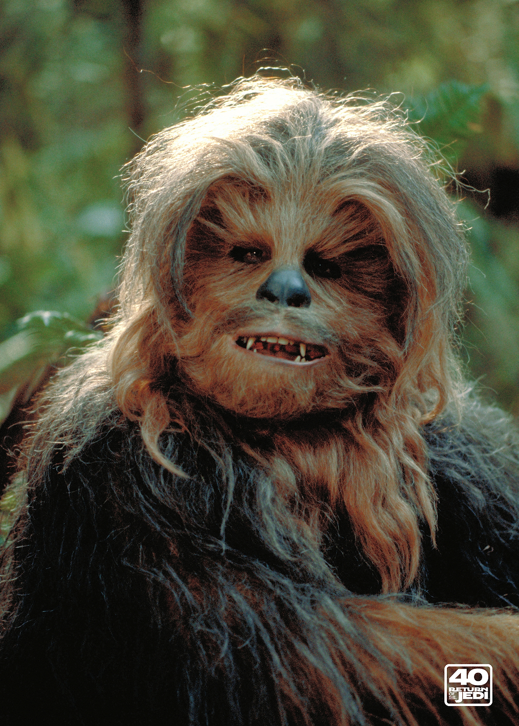 Chewbacca 1: постер из коллекции Star Wars