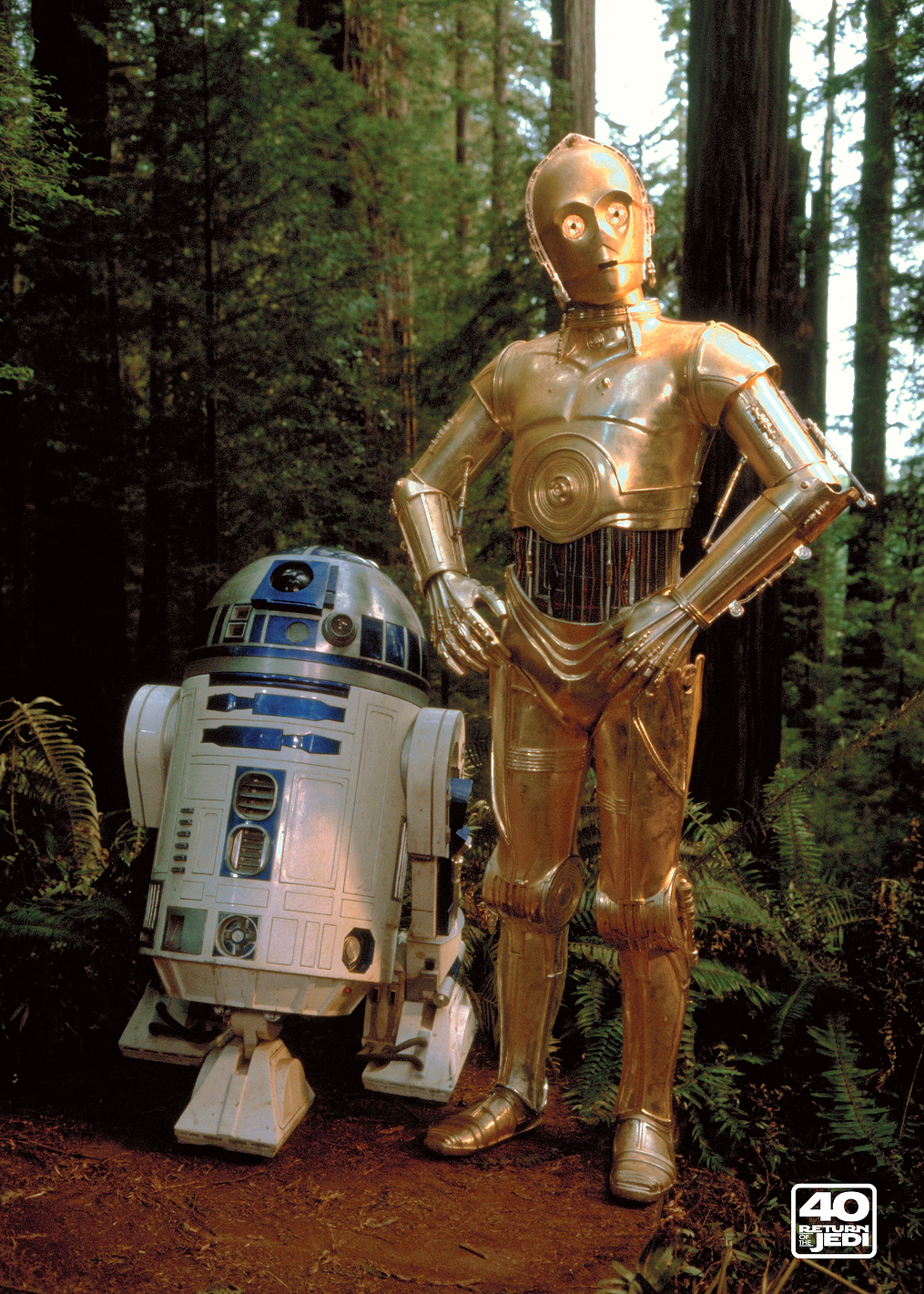 The Droids 1: постер из коллекции Star Wars