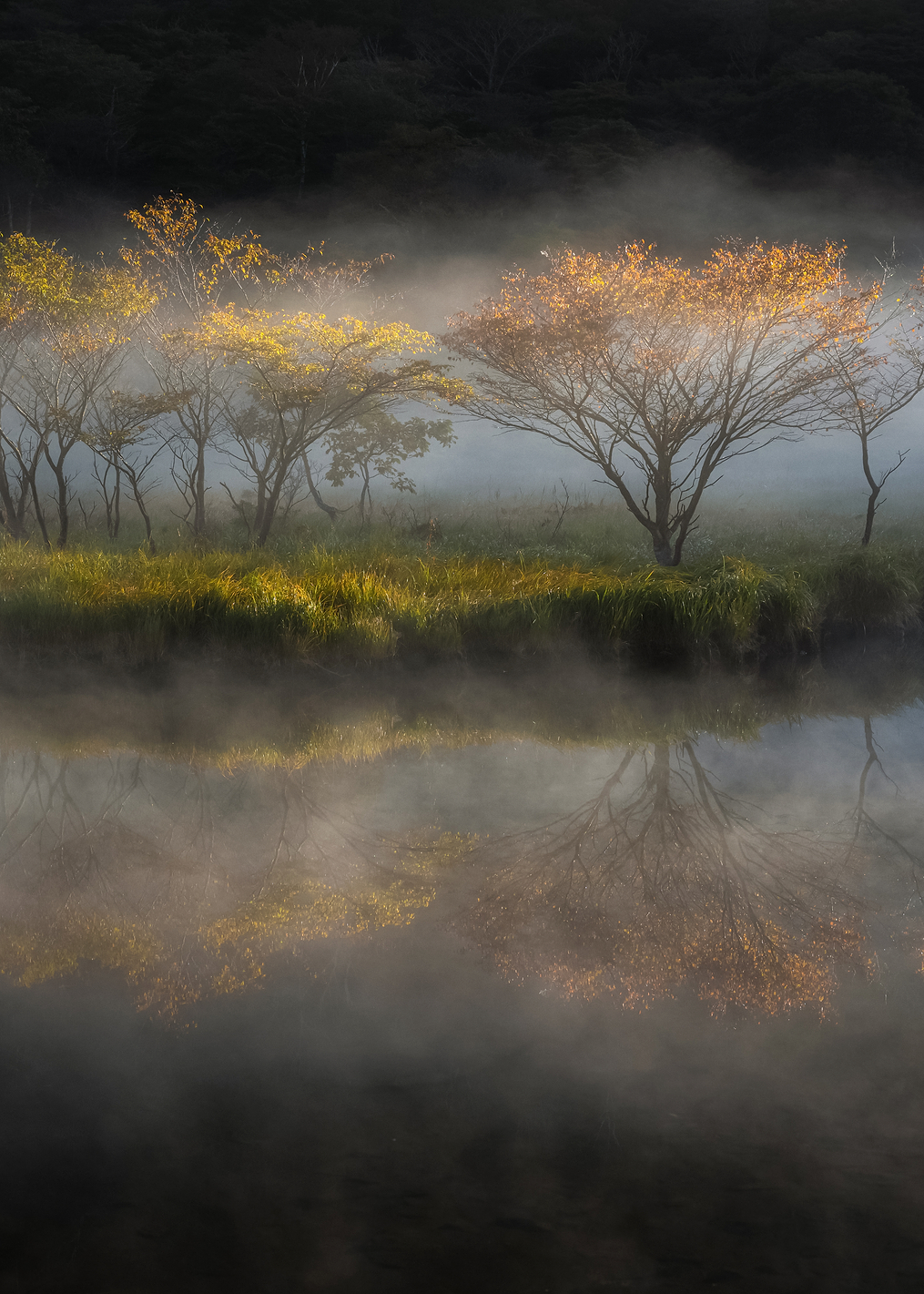 At the lakeside: постер из коллекции World Class Photos