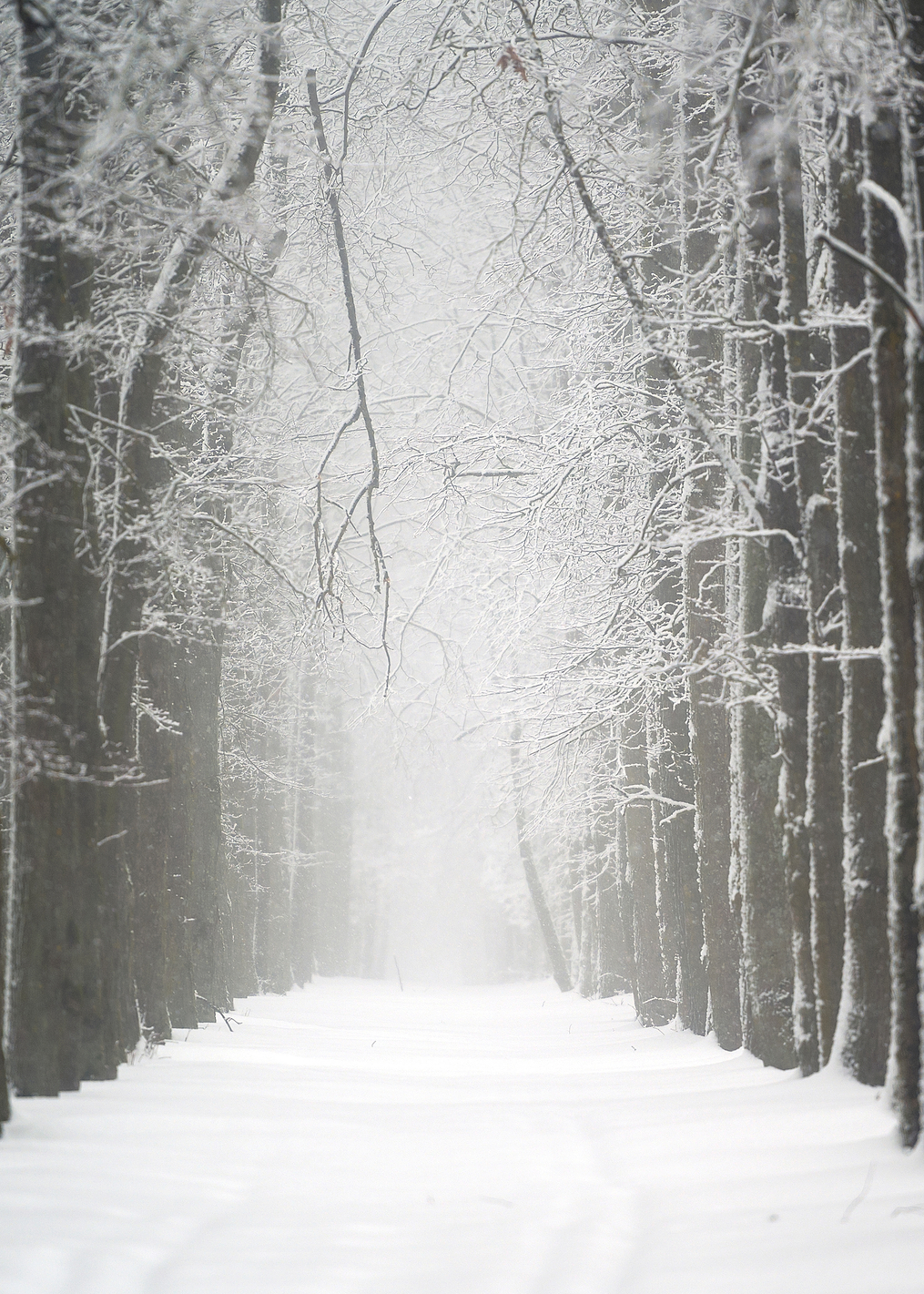 Path into unknown: постер из коллекции World Class Photos