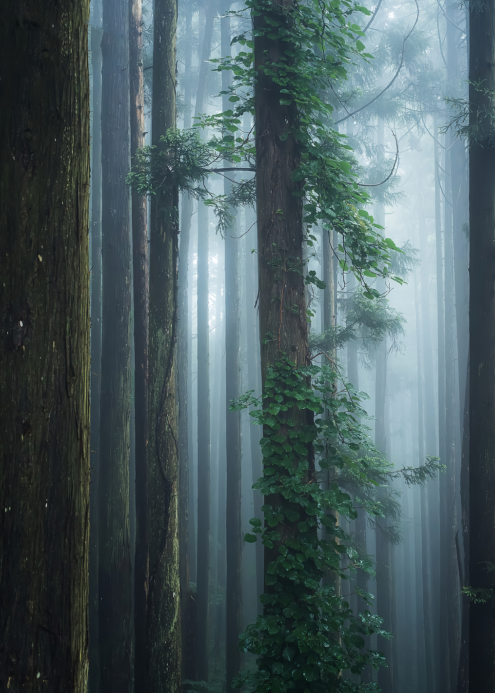 The Breath of Life: постер из коллекции World Class Photos