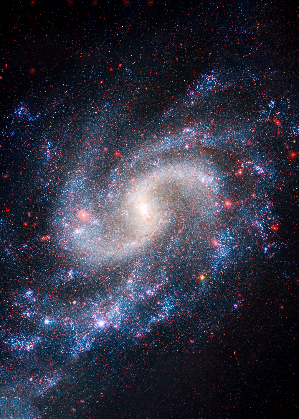 Spiral Galaxy NGC 5584: постер из коллекции Inspired by NASA