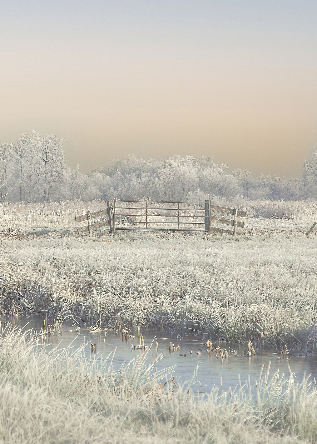 Winter in the Wieden: постер из коллекции World Class Photos