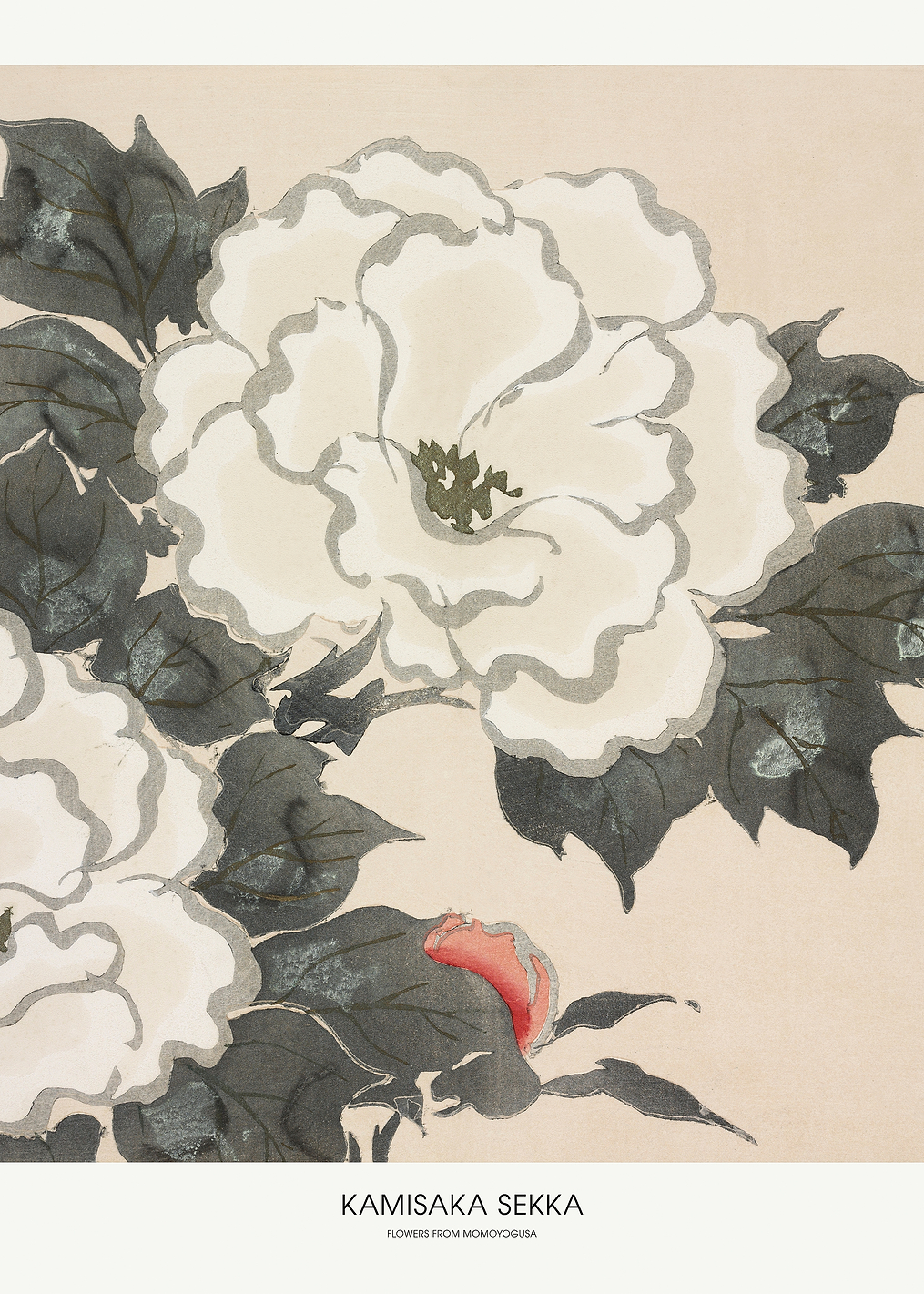 Flowers From Momoyogusa: постер из коллекции Pictufy Vintage Art