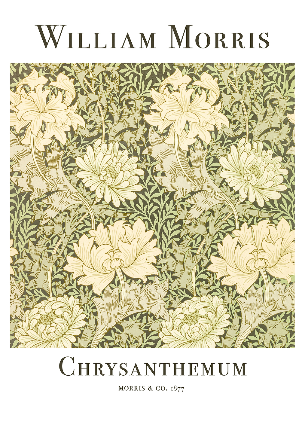 Chrysanthemum: постер из коллекции Pictufy Vintage Art