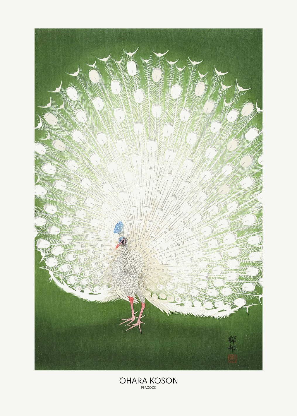 Peacock - Cropped: постер из коллекции Pictufy Vintage Art