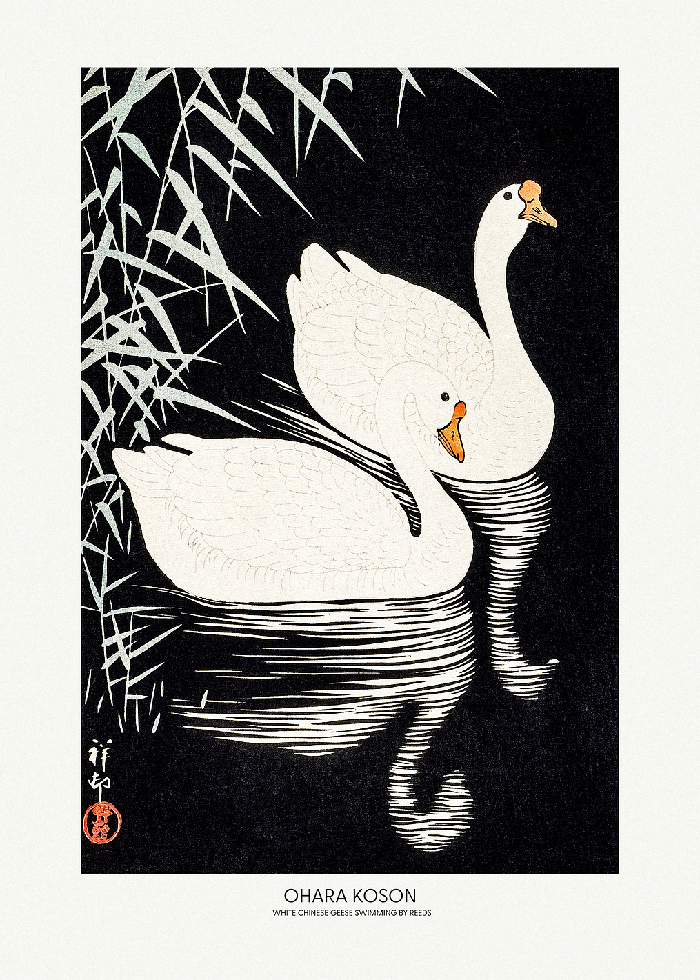 White Chinese Geese: постер из коллекции Pictufy Vintage Art