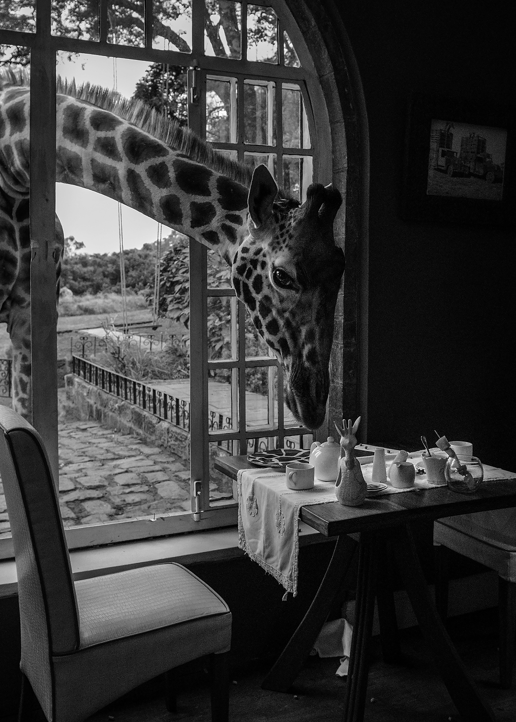 Breakfast time: постер из коллекции World Class Photos