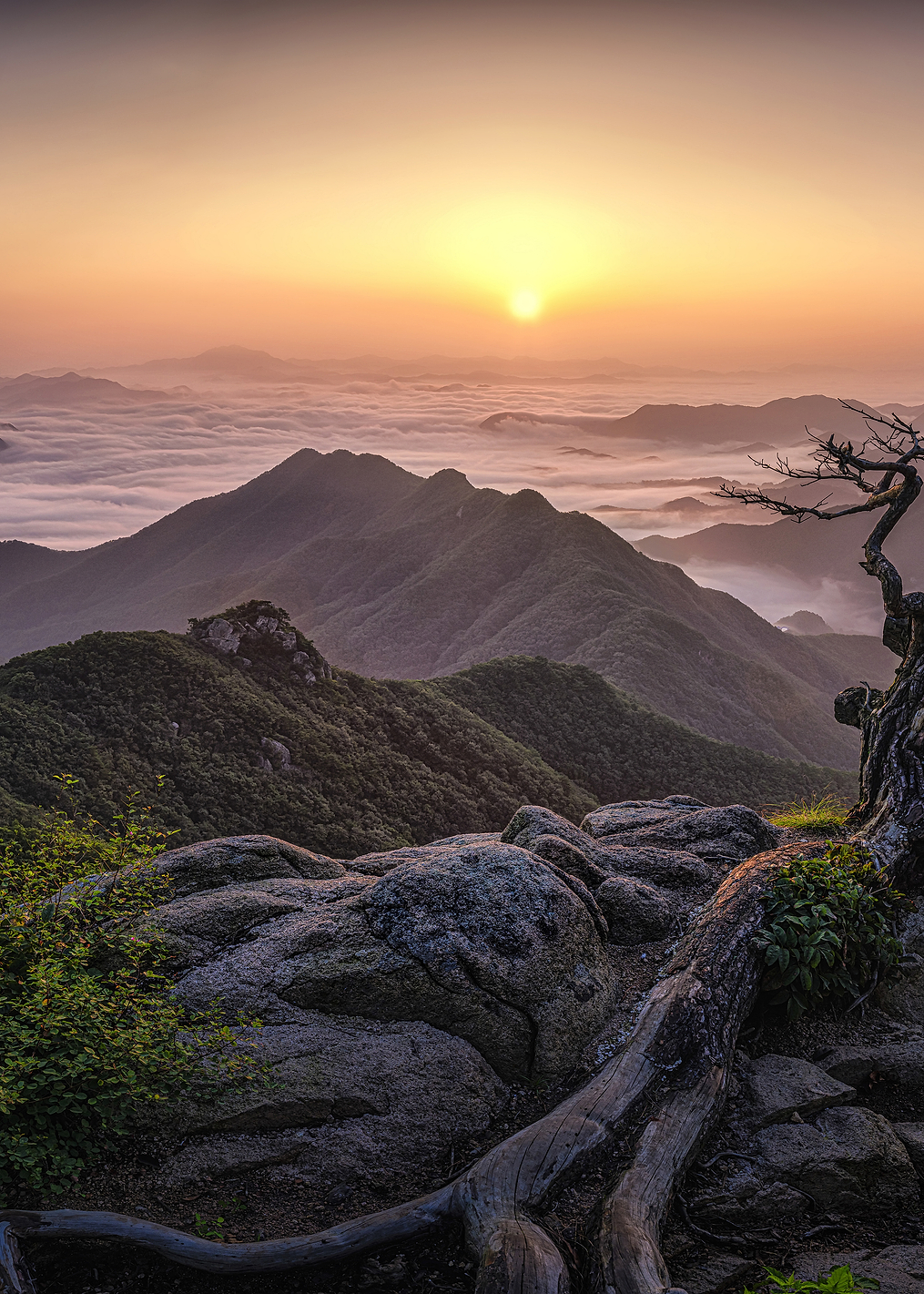 Sunrise on Top: постер из коллекции World Class Photos