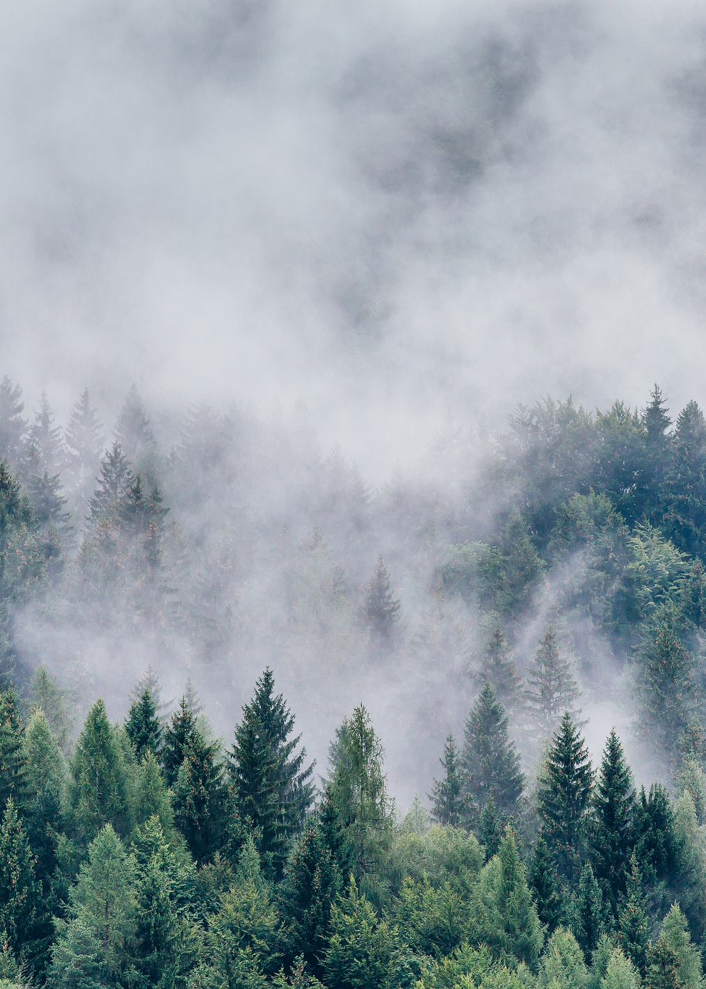 Petrichor: постер из коллекции World Class Photos