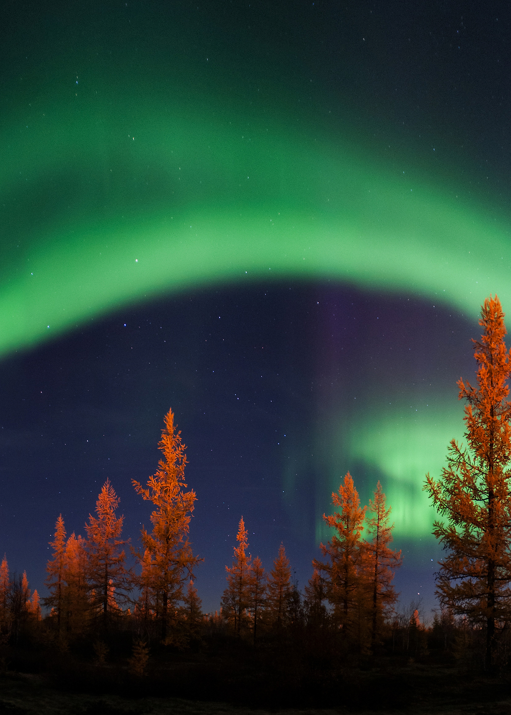 Northern lights: постер из коллекции World Class Photos