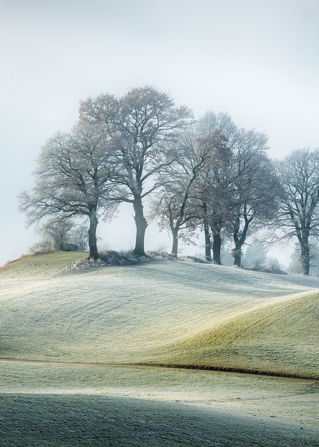 It is not in tuscany: постер из коллекции World Class Photos