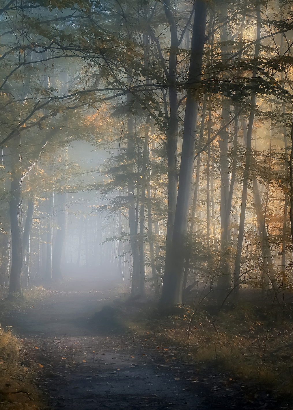 autumn symphony: постер из коллекции World Class Photos