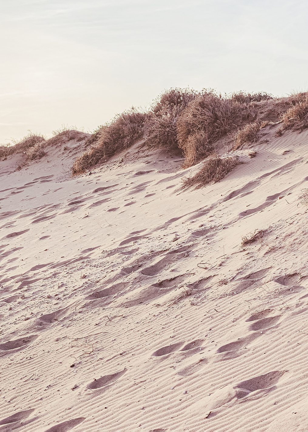 Beach_009: постер из коллекции World Class Photos