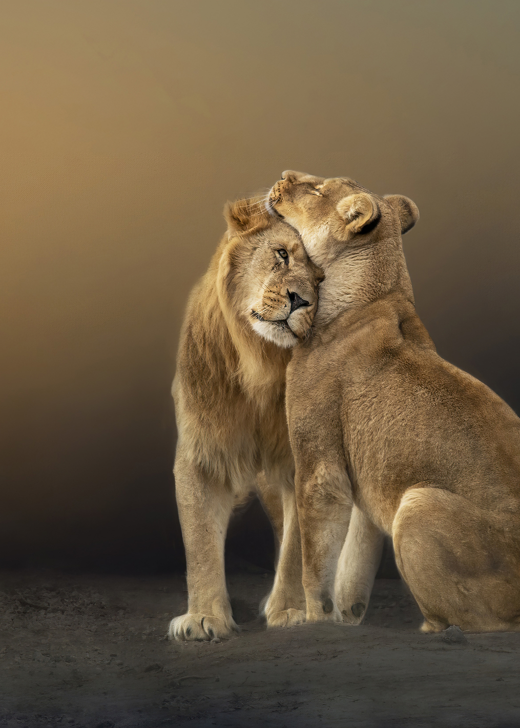 Love is Universal: постер из коллекции World Class Photos