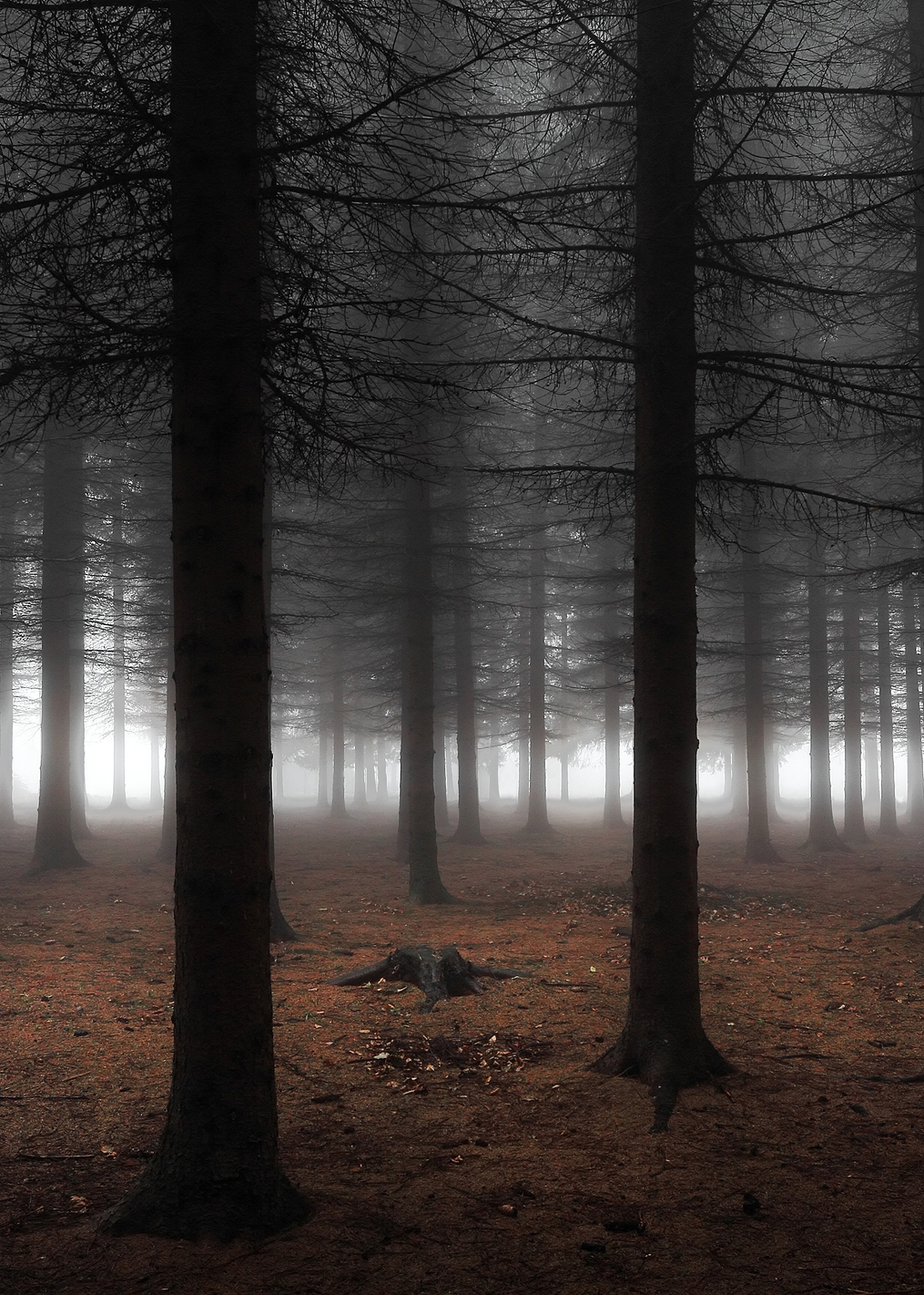 Silence: постер из коллекции World Class Photos