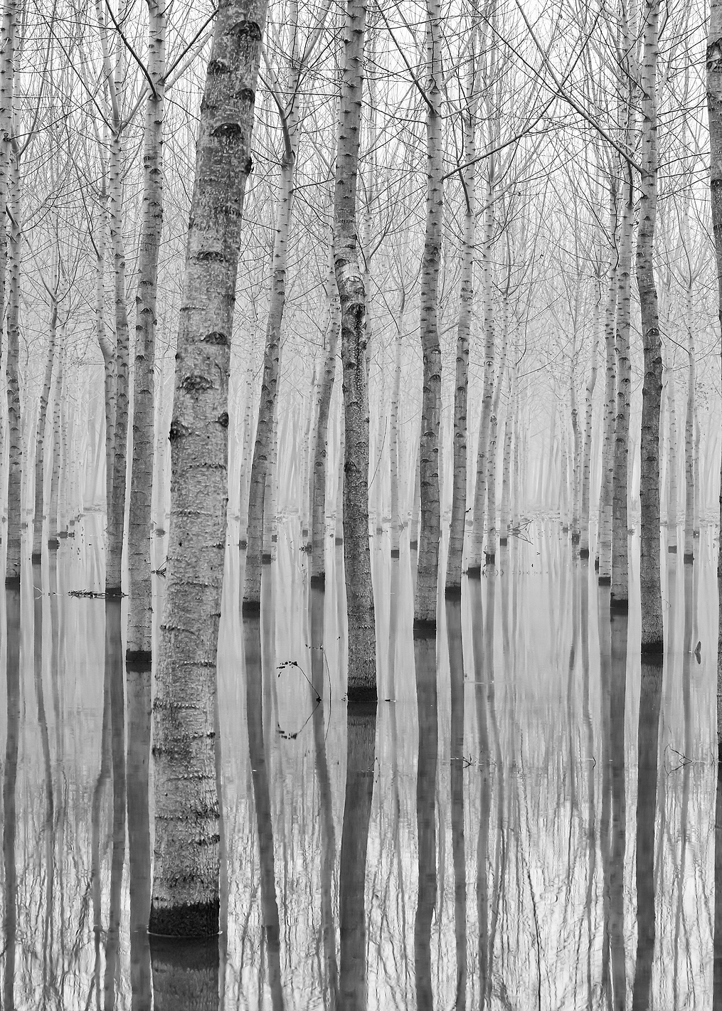 Novembre 2014: постер из коллекции World Class Photos