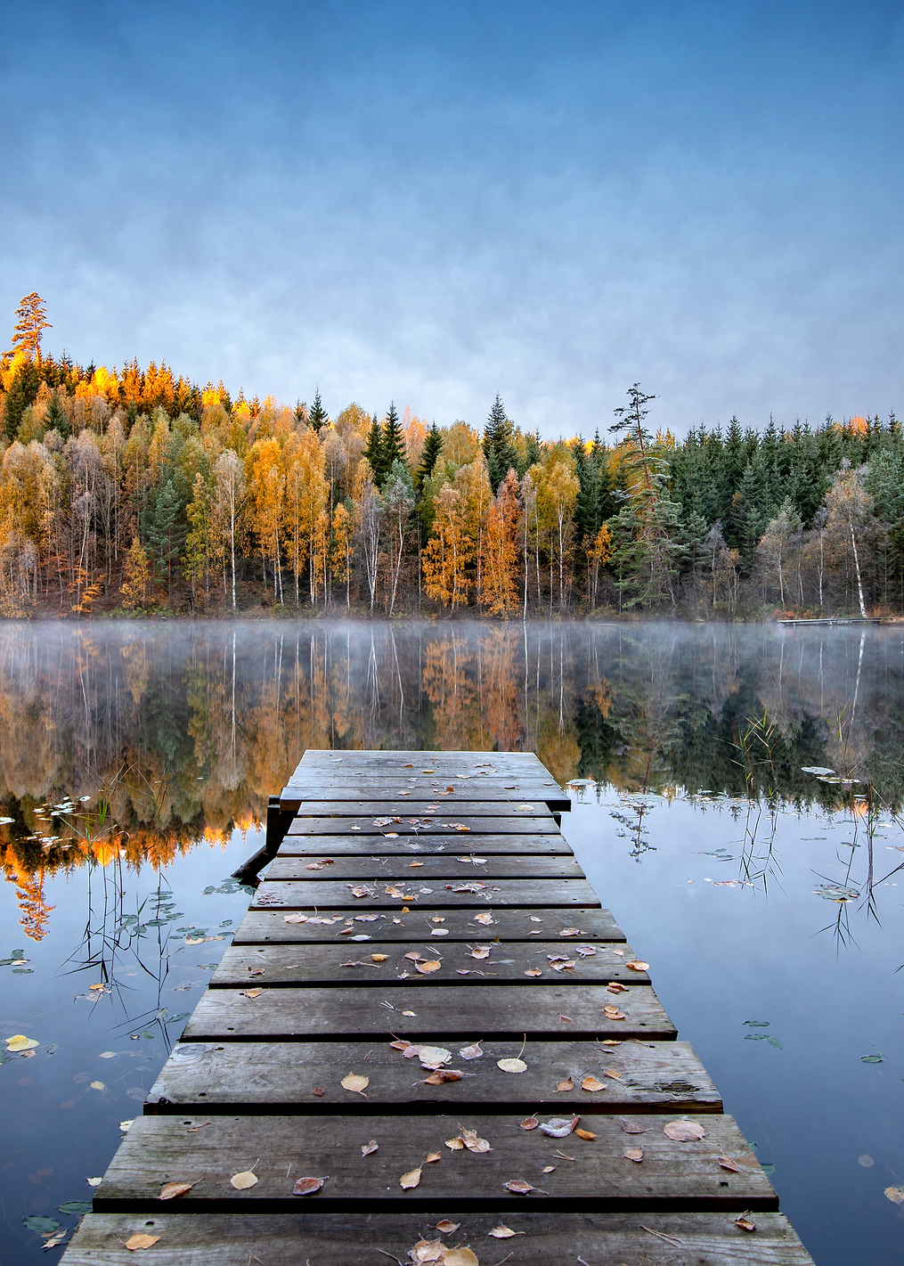 Autumn pier: постер из коллекции World Class Photos