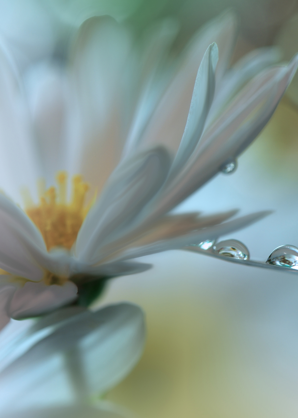 Light touch: постер из коллекции World Class Photos