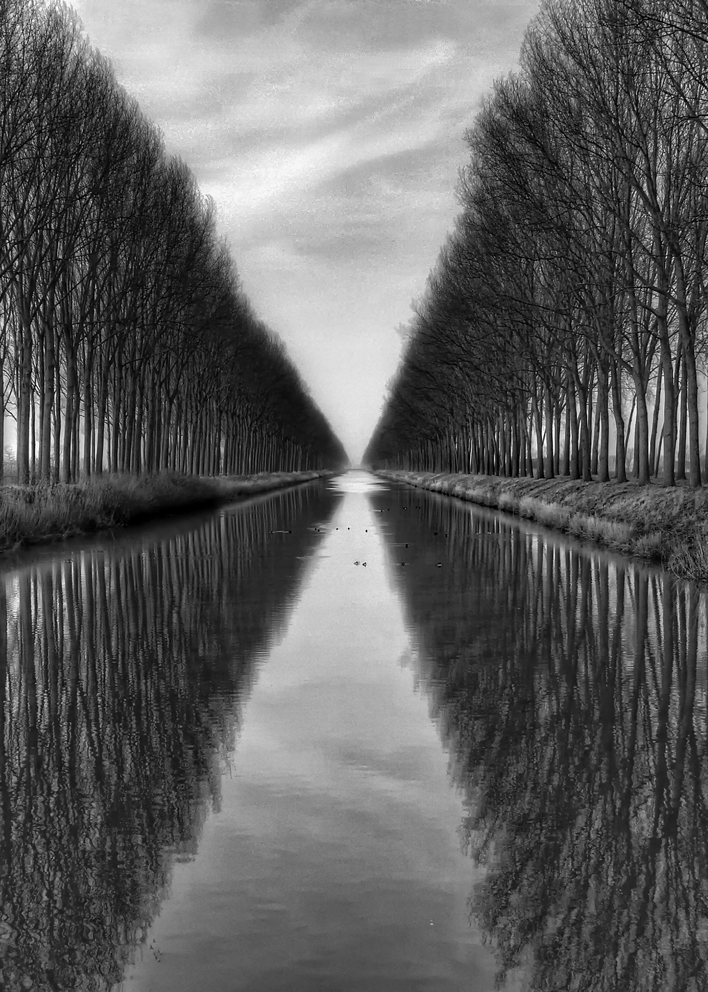 Vanished to the infinite: постер из коллекции World Class Photos