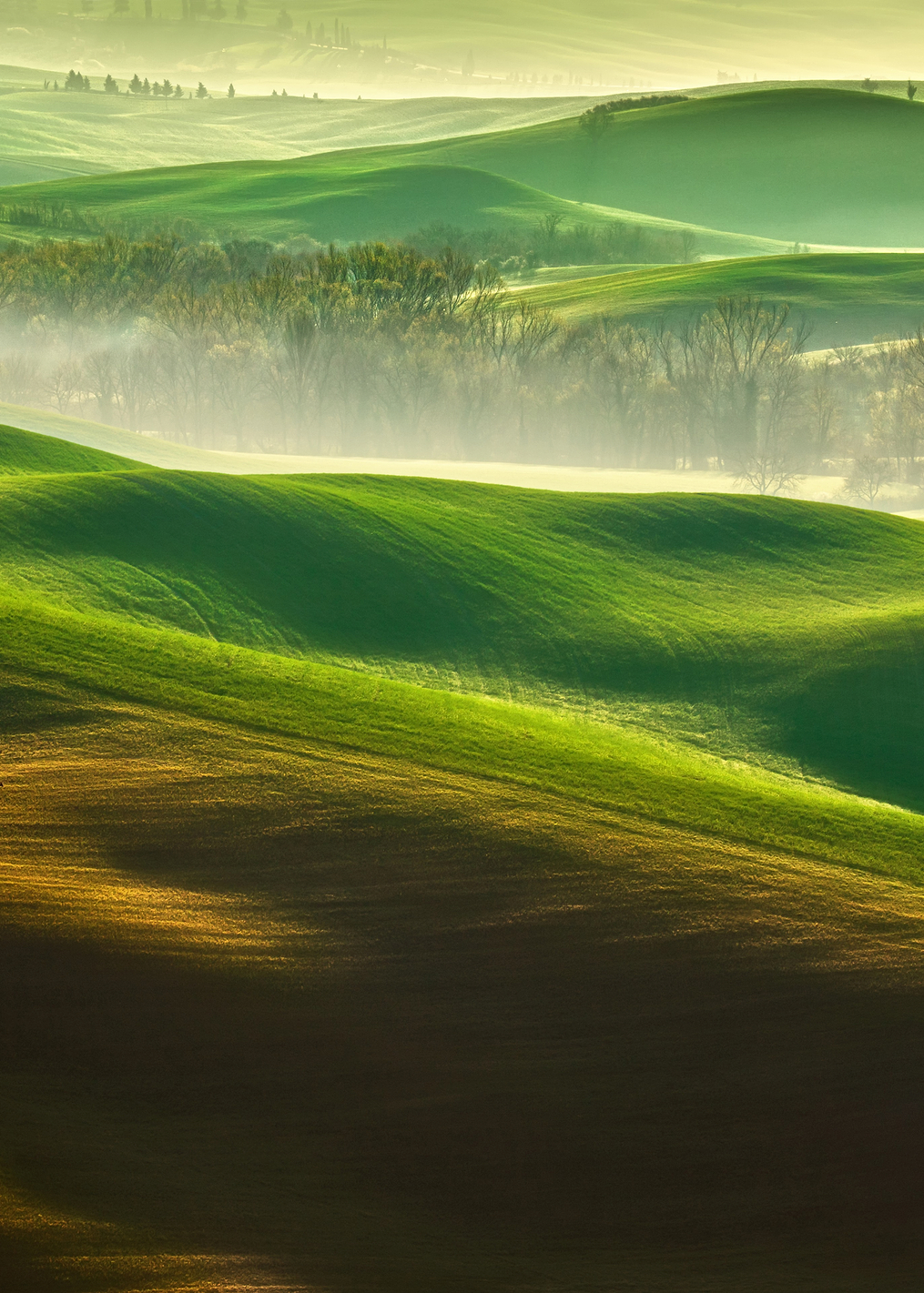 Freedom: постер из коллекции World Class Photos