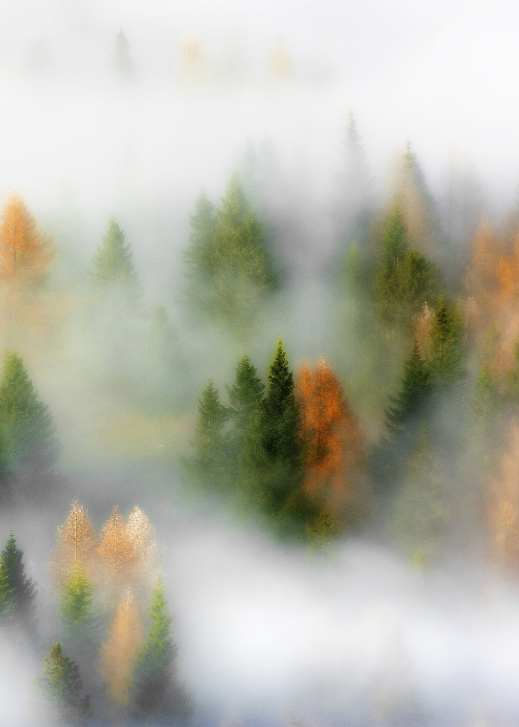 Autumn Dream: постер из коллекции World Class Photos