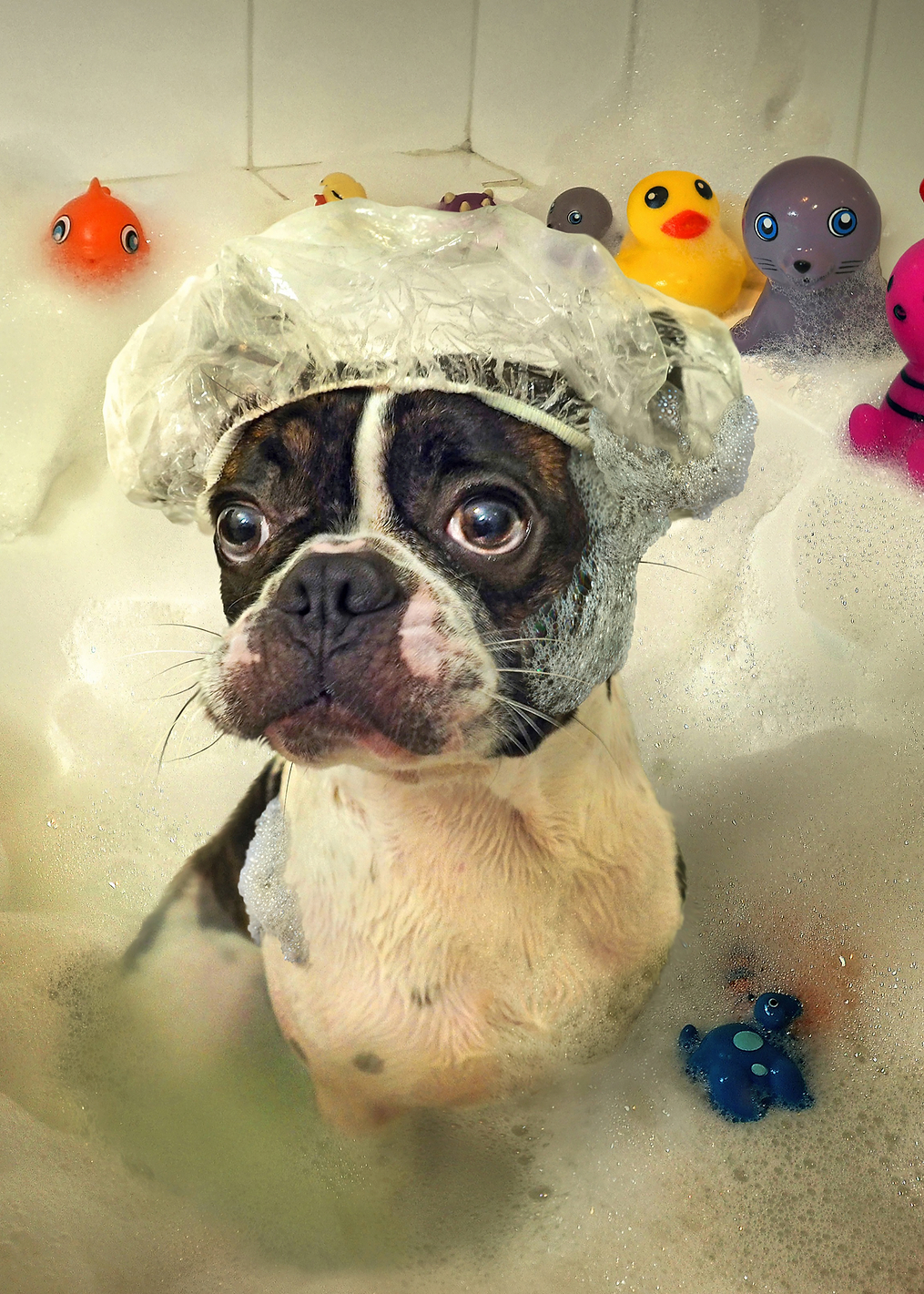 The Bath: постер из коллекции World Class Photos