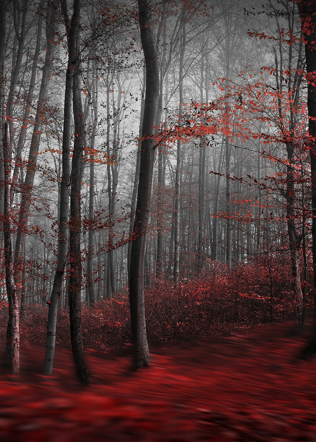 Bloody River: постер из коллекции World Class Photos